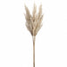 37" Artificial Pampas Grass Stem Bundle -Cream (Pack of 4) - ZSG544-CR