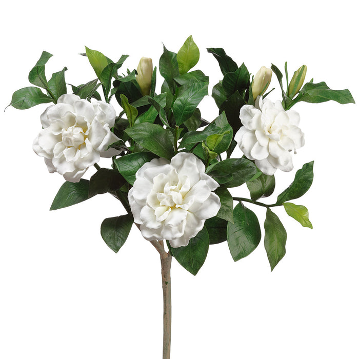 19" Gardenia Silk Flower Branch Stem -Cream (Pack of 2) - ZSG713-CR