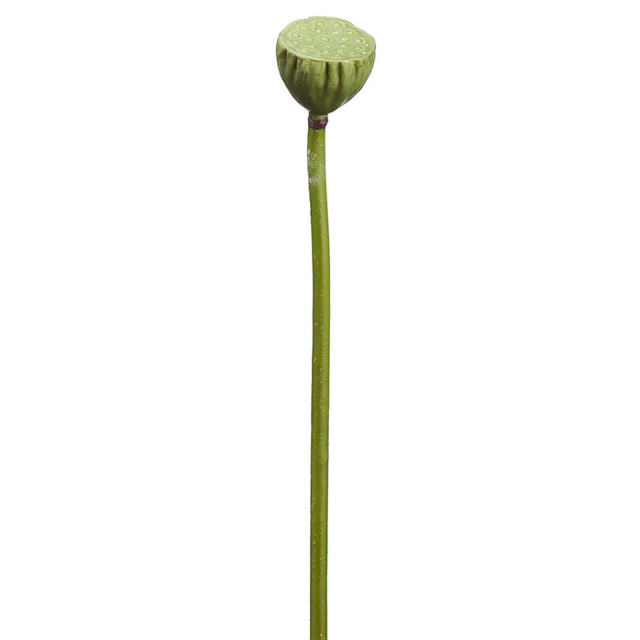 20" Large Lotus Pod Artificial Stem -Green (Pack of 12) - ZSL705-GR