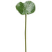 20" Small Lotus Leaf Silk Stem -Green (Pack of 12) - ZSL706-GR