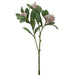 22.5" Artificial Skimmia Flower Stem -Pink (pack of 12) - ZSS323-PK