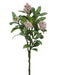 26" Skimmia Silk Flower Stem -Pink (Pack of 12) - ZSS324-PK