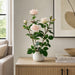 21.6" Rose Silk Flower Arrangement w/Ceramic Vase -Pink - ZSW011-PK