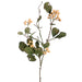 28" Artificial Mountain Berry Stem -Beige (pack of 6) - ZTB388-BE