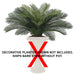36" CUSTOM MADE UV-Proof Outdoor Artificial Sago Cycas Cluster Palm -24 Fronds -Green - A0024
