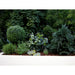 37" Outdoor UV-Proof Artificial Rhododendron Azalea Plant -Green (Pack of 2) - A020