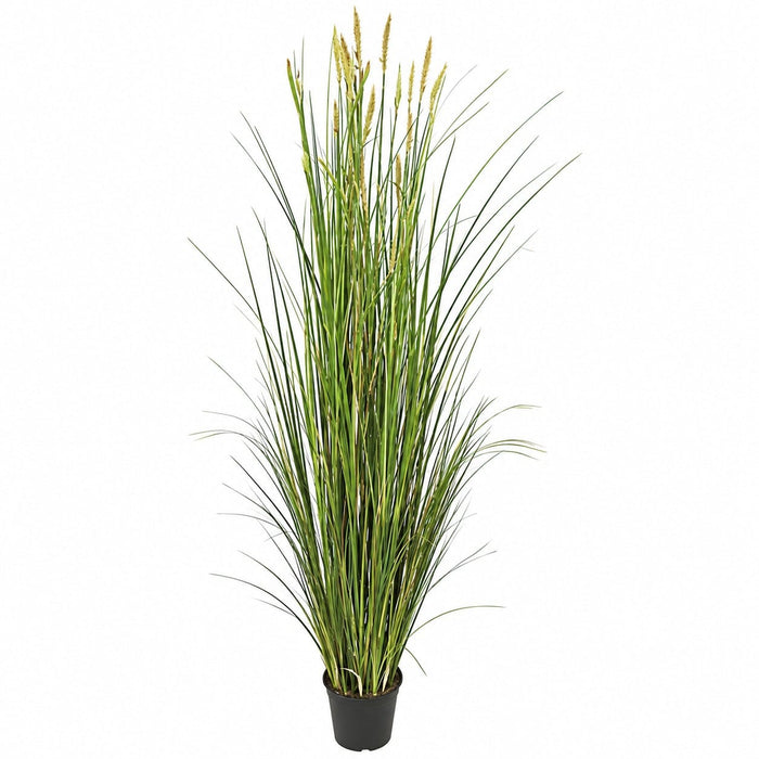 5'11" IFR PVC Pondweed Grass Artificial Plant w/Pot -Green - A100750