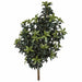 4'2" Outdoor UV-Proof Artificial Mountain Laurel Plant -Green (Pack of 2) - A111