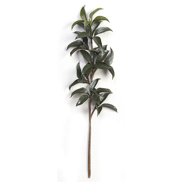 22" UV-Proof Outdoor Artificial Mountain Laurel Branch Stem -Green (pack of 24) - A1115