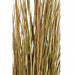 35" IFR PVC Onion Grass Artificial Plant w/Pot -Green/Brown (Pack of 4) - A130312