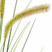 4'8" IFR PVC Foxtail Onion Grass Artificial Plant w/Pot -Cream/Green (Pack of 4) - A130625