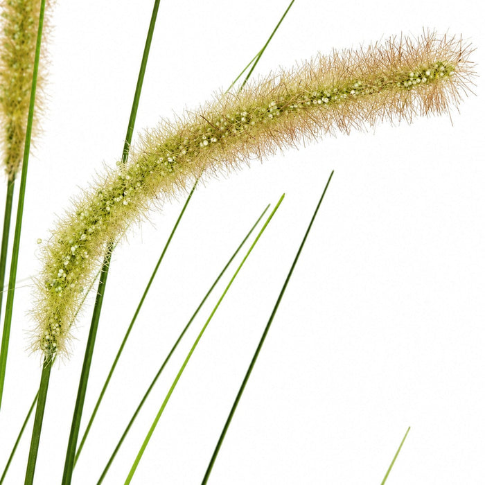 24" IFR PVC Foxtail Onion Grass Artificial Plant w/Pot -Cream/Green (Pack of 6) - A130613