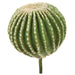 13" Plastic Barrel Cactus Artificial Stem w/Pink Flocked Needles -Green (pack of 2) - A131830