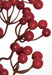 25" Lacquered Ilex Berry Artificial Stem -2 Tone Red (pack of 24) - A132056
