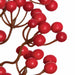25" Lacquered Ilex Berry Artificial Stem -2 Tone Red (Pack of 24) - A132056