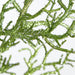 32"Hx24"W Glittered Artificial Twig Tree w/Stand -Sage Green (Pack of 2) - A132090