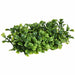 5"Wx1"H Outdoor UV-Proof Artificial Boxwood Mat Edge -Green (Pack of 12) - A135461