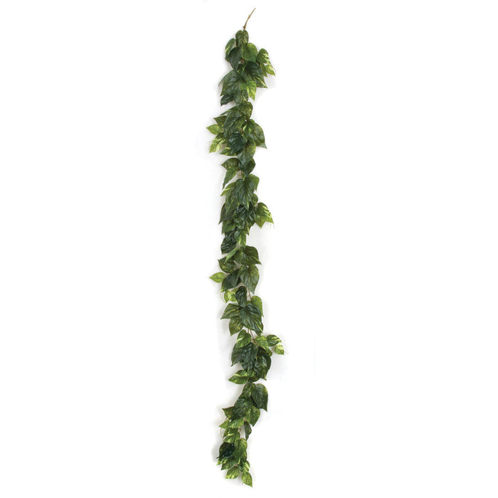 6' Soft Touch Pothos Silk Garland -Green/Cream (pack of 6) - A140525