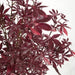 3'2" UV-Proof Outdoor Artificial Maple Tree -Burgundy (pack of 2) - A144170