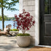 3'2" Outdoor UV-Proof Artificial Maple Tree -Burgundy (Pack of 2) - A144170