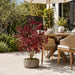 3'2" Outdoor UV-Proof Artificial Maple Tree -Burgundy (Pack of 2) - A144170