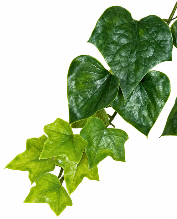 9' Outdoor UV-Proof Artificial English Ivy Garland -Green (Pack of 6) - A144250