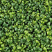 20"x20"x3" Outdoor UV-Proof Artificial English Boxwood Mat -2 Tone Green (Pack of 3) - A144310