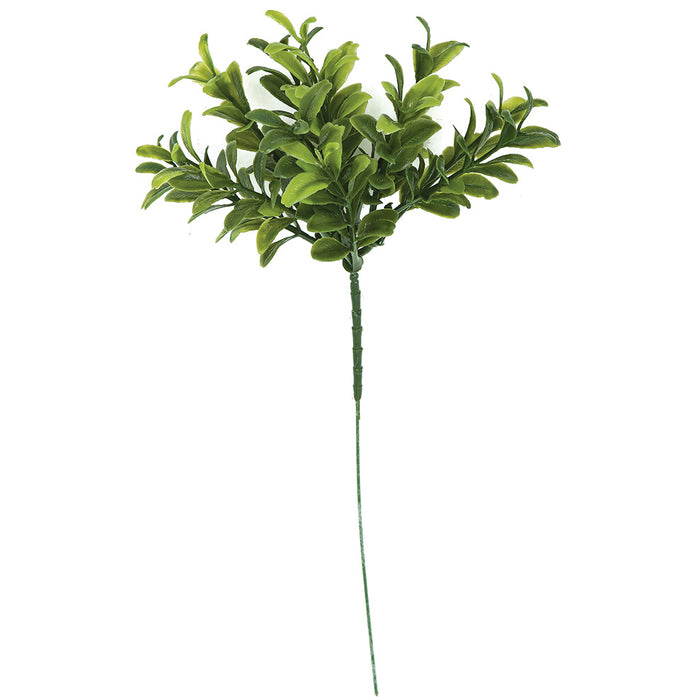 9" UV-Proof Outdoor Artificial English Boxwood Stem Pick -2 Tone Green (pack of 24) - A144313