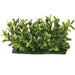 5.5"Wx3"H UV-Proof Outdoor Artificial English Boxwood Mat Edge -2 Tone Green (pack of 12) - A144316