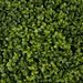 24" UV-Proof Outdoor Artificial Boxwood Ball Topiary -Green - A144324