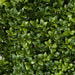 30"Hx35"Wx11"D UV-Proof Outdoor Artificial English Boxwood Topiary Hedge -2 Tone Green - A144335