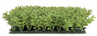 10"x10"x3" Boxwood Artificial Mat -Light Green (pack of 6) - A150280