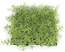 10"x10"x3" Mini Leaf Artificial Mat -Light Green (pack of 6) - A150310