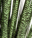 45" IFR PVC Zebra Grass Artificial Plant w/Pot -Green/Black (pack of 2) - A152060