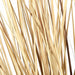 41" IFR PVC Onion Grass Artificial Plant w/Pot -Beige/Brown (Pack of 2) - A152230