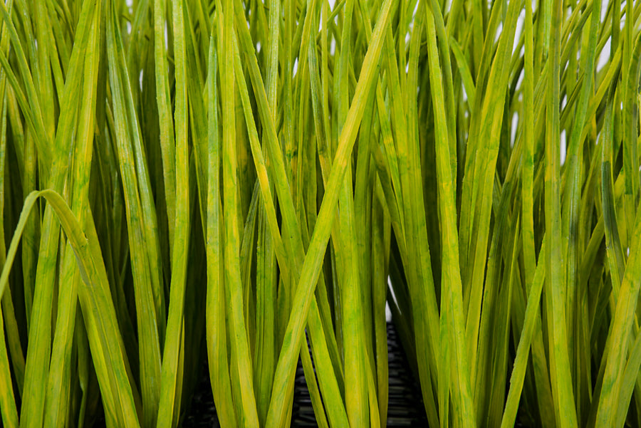20"x20"x14" UV-Proof Outdoor Artificial Meadow Grass Mat -Green/Yellow (pack of 2) - A152267