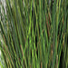 5' IFR PVC Onion Grass Artificial Plant w/Pot -Green - A152305