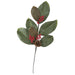 24" Magnolia Leaf & Berry Artificial Stem -Green/Red (pack of 12) - A160030
