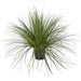 36" IFR PVC Onion Grass Artificial Plant w/Pot -2 Tone Green - A160190