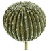15.5"Hx14"W Plastic Barrel Cactus Artificial Stem -Gray/Green (pack of 2) - A161565