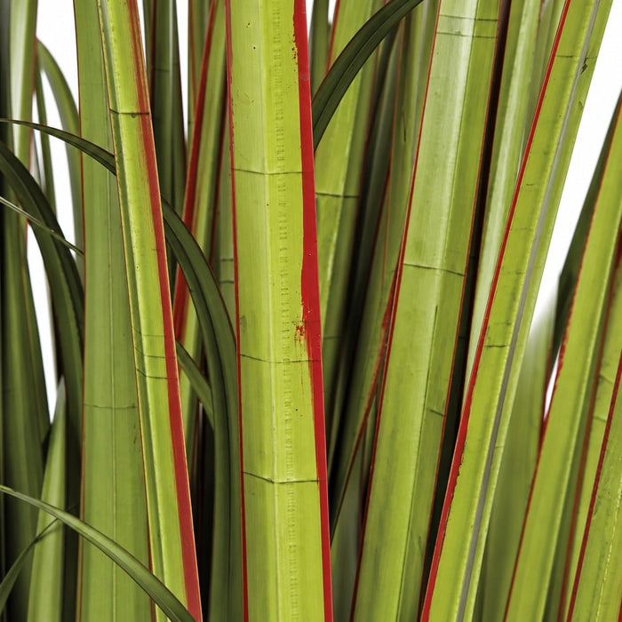 5'8" IFR PVC Wide Leaf Onion Grass Artificial Plant w/Pot -Green/Red - A161730