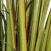 5'8" IFR PVC Wide Leaf Onion Grass Artificial Plant w/Pot -Green/Red - A161730