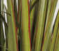 5'8" IFR PVC Wide Leaf Onion Grass Artificial Plant w/Pot -Green/Red - A161730