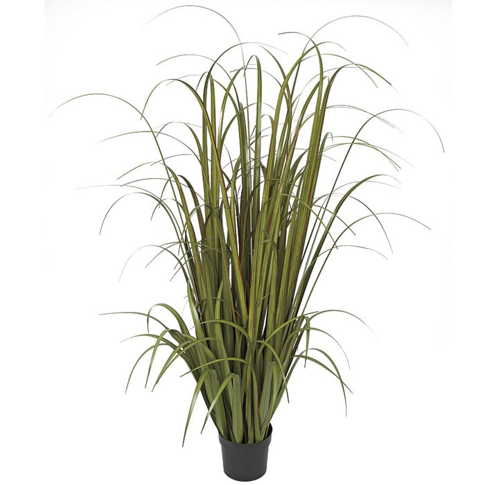 5'8" IFR PVC Wide Leaf Onion Grass Artificial Plant w/Pot -Green/Red - A161730