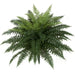 26"Hx34"W UV-Proof Outdoor Artificial Ruffle Fern Plant -Green (pack of 2) - A164305