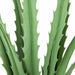 25" Outdoor UV-Proof Artificial Sharp Leaf Agave Plant -Green (Pack of 4) - A164353