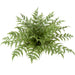 30" UV-Proof Outdoor Artificial Woodwardia Fern Plant -Green (pack of 2) - A174100