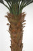 4'6"Hx68"W UV-Proof Outdoor Artificial Sago Cycas Palm Tree -36 Fronds -Green - A174660