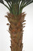 3'6"Hx48"W UV-Proof Outdoor Artificial Sago Cycas Palm Tree -36 Fronds -Green - A174530