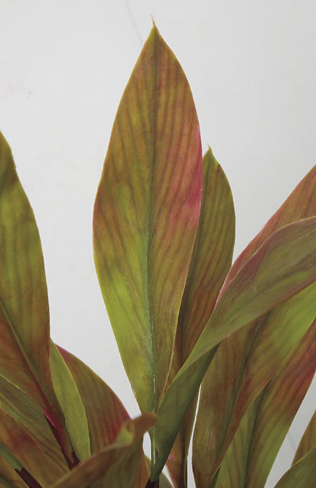 plastic cordyline plants 5' Outdoor UV-Proof Artificial Cordyline Plant -Red/Green